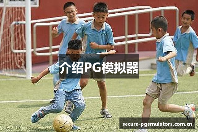 介绍PG模拟器